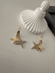 VIP 14 K ÇİFT KUTUP YILDIZLI KÜPE